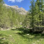 In partenza nell'unico punto pianeggiante, una splendida radura.