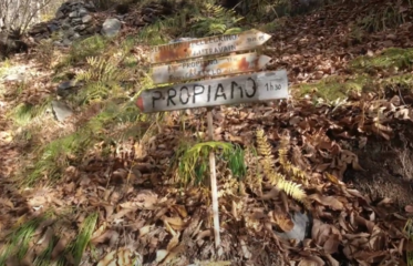 Alpe propiano