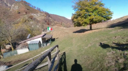 Alpe