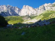 La parete nord dello Scarason e il Castello delle Aquile a sx ,salendo dal Vallone del Marguareis