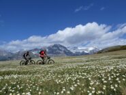 Fioritura stupenda nella parte alta della salita.