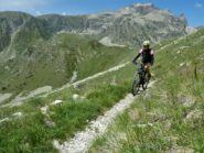 Sul traverso sotto cima Salauta.