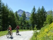 Sulla sterrata del col Basset.