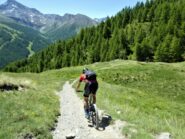 L'imbocco del sentiero Bordin.