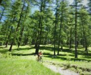 Discesa verso Soleil Boeuf.