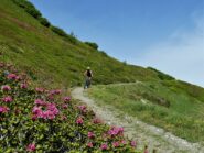 Sul traverso sotto cima Pepino.