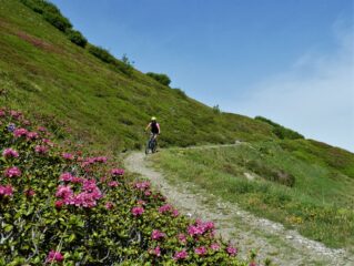 Sul traverso sotto cima Pepino.