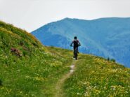Verso il colle della Perla.