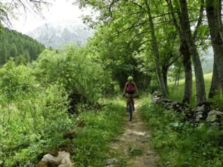 Sentiero verso Chialvetta.