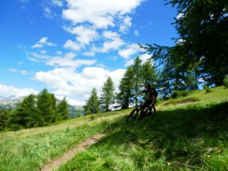 Nella parte alta della discesa