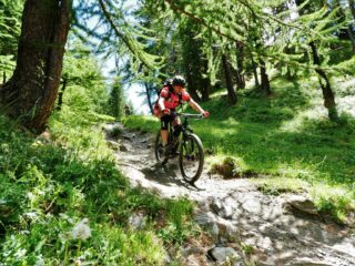 Qualche tratto più tecnico