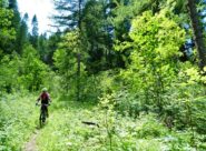 Sul sentiero finale verso il ponte di Rollieres