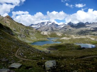 In discesa, Laghi dei Tre Becchi e Gruppo del Granpa sullo sfondo.