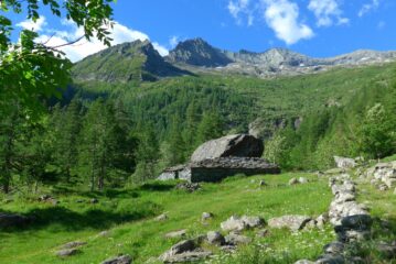 All'Alpe Roc Piat