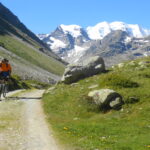 Val da Fain e Piz Palù 3900