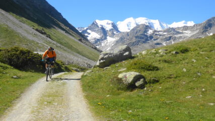 Val da Fain e Piz Palù 3900