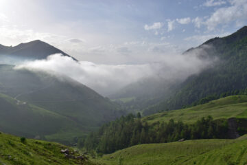 Nebbie in bassa valle ...