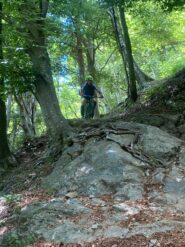 Discesa MTB