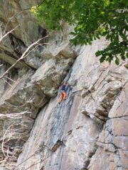 Bella via sul placca lavorata 