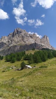 La cima da Alp de Lauzet
