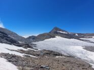 Rocciamelone visto dalla salita del Ribon