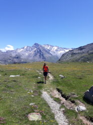 il bel pianoro dell'Arp Vieille