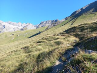 Sentiero dopo l'alpeggio