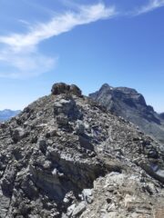 La Carre' sfondo monte Roisetta