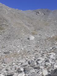 Il vallone di salita alla Testa Grisa,puntando al colletto centro foto