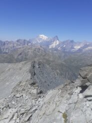 Sullo sfondo Bianco e Grand Jorasses