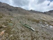 La pala e, a sinistra , la cresta della cima