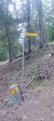 Deviazione dalla strada dentro al bosco. Ora sale ripido