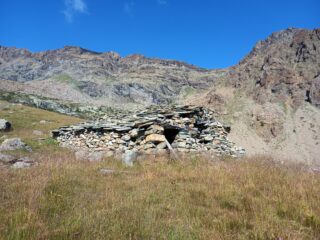Alpe Radis