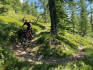 Scendendo dal colle della Balma alla colletta Sellar