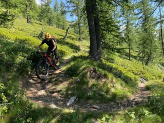 Scendendo dal colle della Balma alla colletta Sellar
