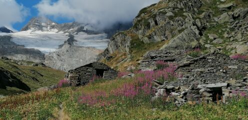 Barac du Fond