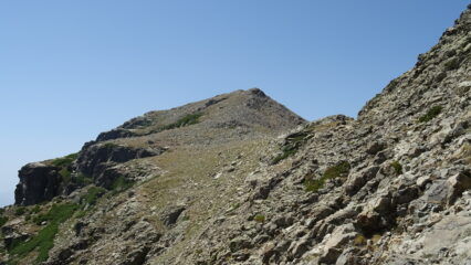 Quasi in cima al Cardo