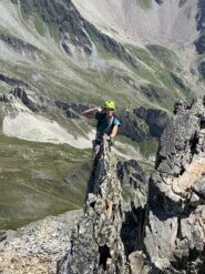 Pipino sulla lama finale