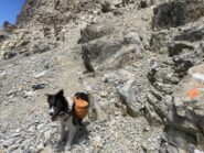 Salendo , a quota 2740 (filo spinato), bisogna deviare a destra, non proseguire dritto per la traccia che sembra più evidente