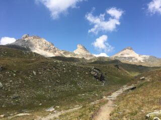 Come Bianche 