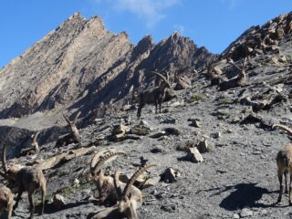 alla breche de Ruine