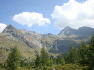 becca Aran, Roisetta, Grand e Petit Tournalin