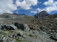 La Ciamarella dal Pian del Gias