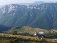 Pian Rosso dirigendomi alla gola 
