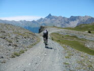 tratto panoramico dominato dai 3320 m. del  Pic de Rochebrune