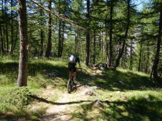 tratto agevole della discesa su Saretto