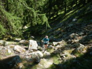 traverso non breve, in leggera salita, che richiede la spinta della mtb