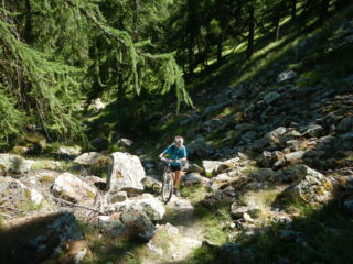 traverso non breve, in leggera salita, che richiede la spinta della mtb