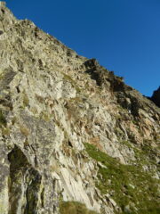 La cengia dopo la forcelletta. Bisogna salire sulla SX per roccette e erba cercando il facile fino a tornare in cresta.