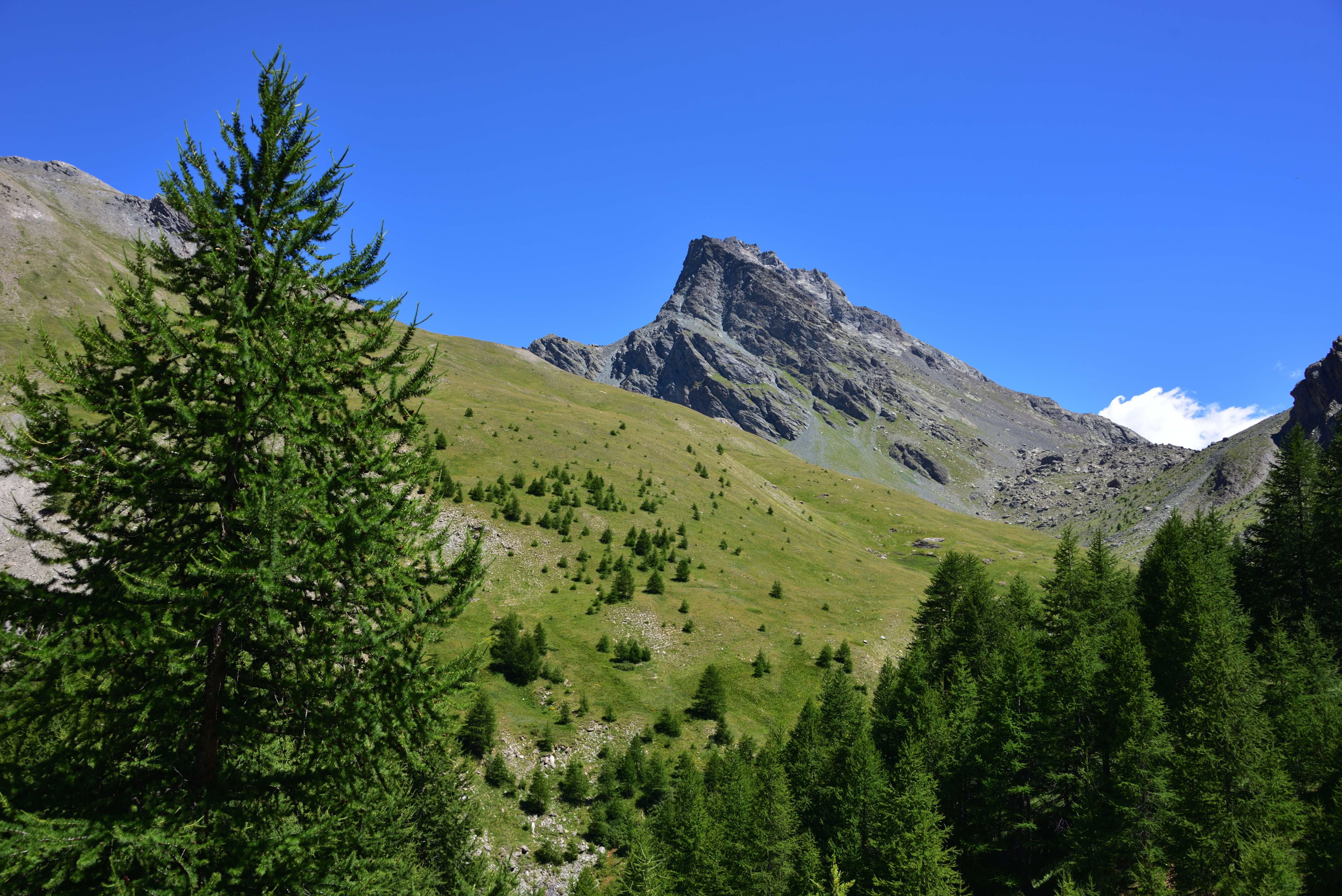 Il Pic du Pelvat scendendo nel Vallon de Chabriere